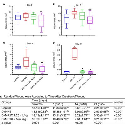 RJX Improves Wound Healing in Diabetic Rats